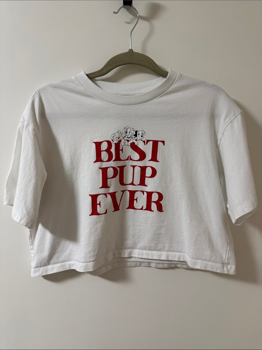 Uniqlo x Disney Best Pup Ever 101 Dalmatian’s size small